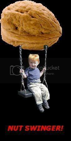 NutSwinger.jpg