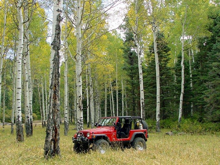 red jeep screen saver01.jpg