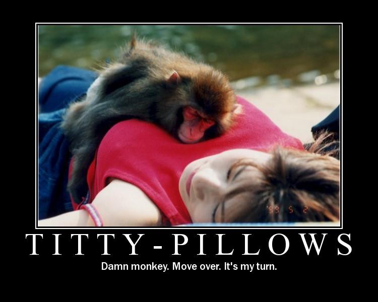 titty-pillows.jpg