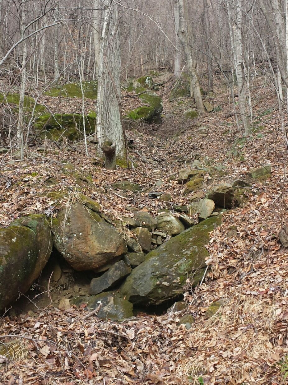 2015-01-04 13.01.58.jpg