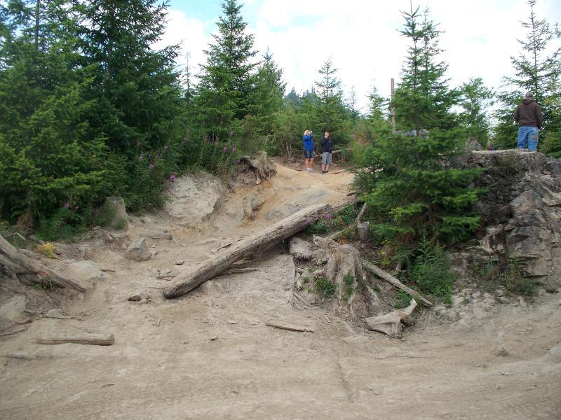 Looks easy from here, Bypass V Crack.jpg