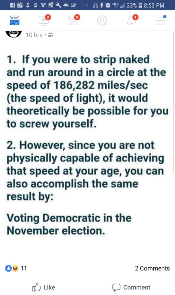 Voting democrat.jpg